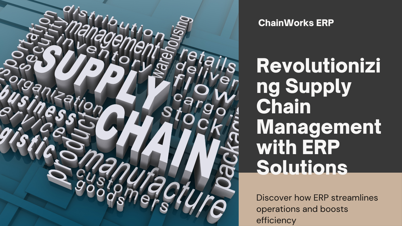 Case Studies: Successful ERP Projects by Sodio