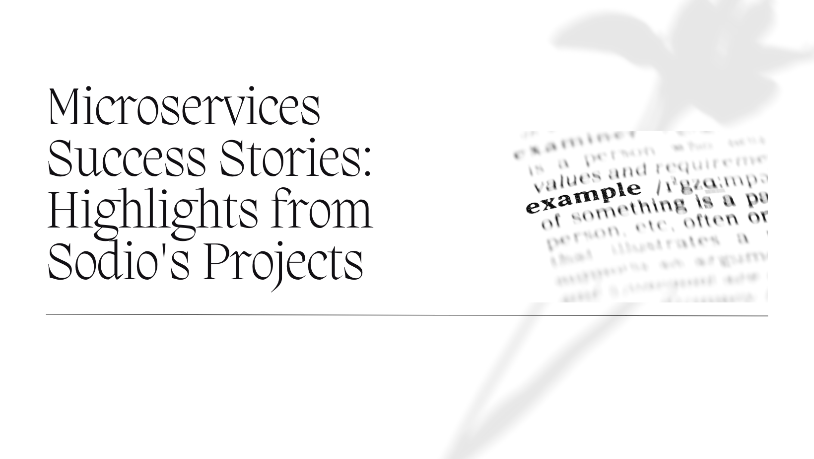 Case Studies: Successful Microservices Projects by Sodio